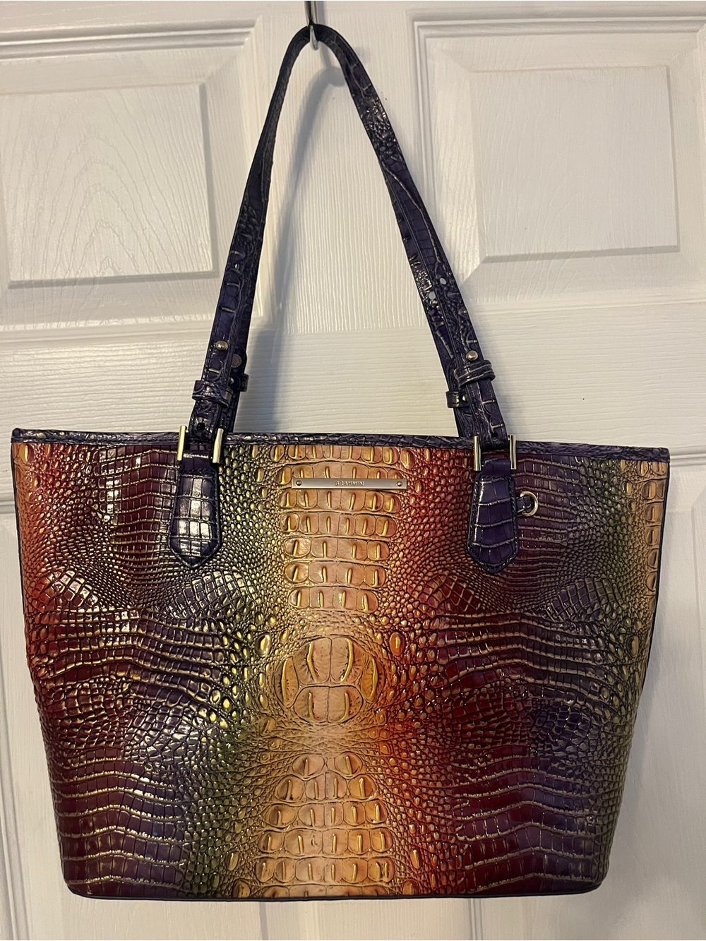 BRAHMIN Multicolor Croc-Embossed Tote Bag - Stunning! with Gradient Finish
